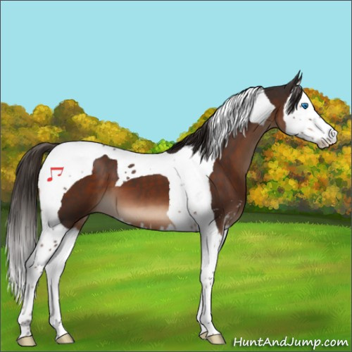 Horse Color:Liver Chestnut Sabino Splash Tobiano 