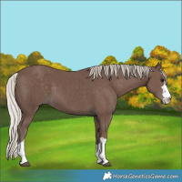 Horse Color:Silver Black