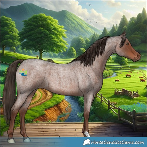 Horse Color:Liver Red Roan 