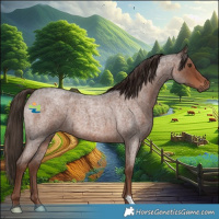 Horse Color:Liver Red Roan 