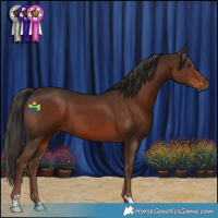 Horse Color:Liver Chestnut 