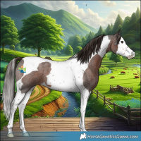 Horse Color:Liver Red Roan Splash Tobiano 