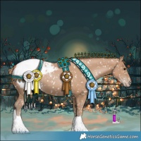 Horse Color:Black Pearl Appaloosa