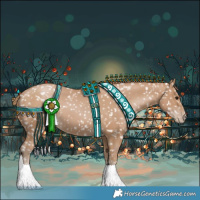 Horse Color:Black Pearl Appaloosa