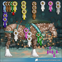 Horse Color:Gray Black Pearl Appaloosa