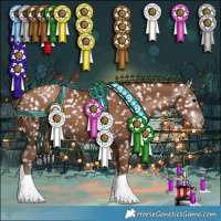 Horse Color:Gray Black Pearl Appaloosa 