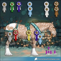 Horse Color:Black Pearl Appaloosa 