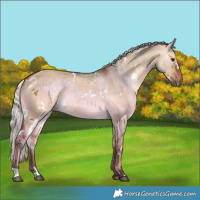 Horse Color:White Spotted Silver Brown Dun 
