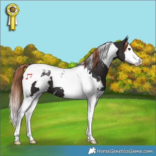 Horse Color:White Spotted Liver Chestnut Splash Tobiano 