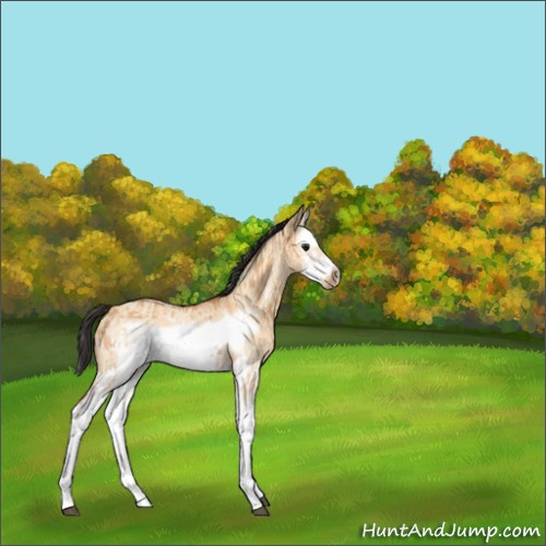 Horse Color:Bay Dun Splash Frame  and Bay Roan Dun Splash Frame 