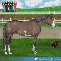 Horse Color:Liver Red Dun Mushroom Brindle 