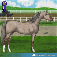 Horse Color:Liver Red Dun Mushroom Brindle 