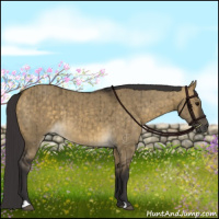 Horse Color:Buckskin Dun Brindle 