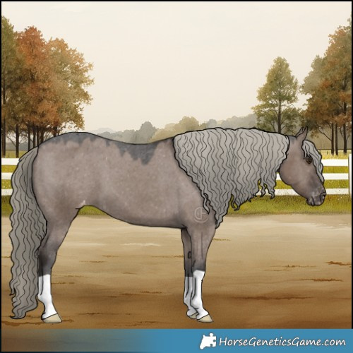 Horse Color:Liver Red Dun Mushroom Appaloosa 