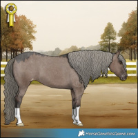 Horse Color:Liver Red Dun Mushroom Appaloosa 
