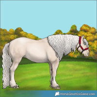 Horse Color:Gold Cream Champagne Pearl 