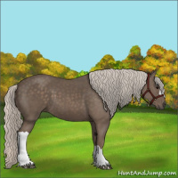Horse Color:Silver Black 