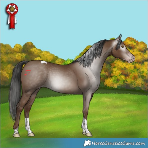 Horse Color:Gray Classic Champagne Tobiano 