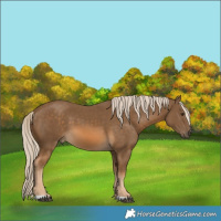 Horse Color:Chocolate Palomino 