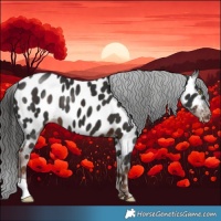 Horse Color:Liver Chestnut Near Leopard 