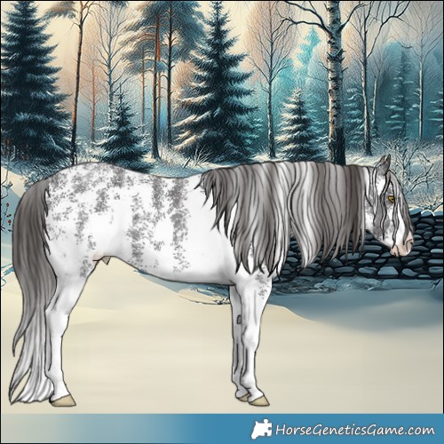 Horse Color:Liver Chestnut Sabino 