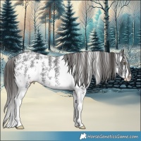 Horse Color:Liver Chestnut Sabino