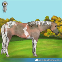 Horse Color:Silver Black Tobiano 