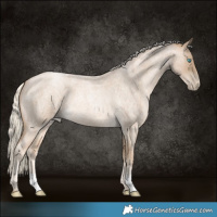 Horse Color:Chocolate Palomino Roan Pearl