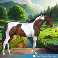 Horse Color:Liver Chestnut Tobiano 