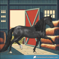 Horse Color:Black 