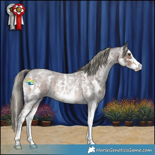 Horse Color:Liver Red Roan Mushroom Sabino 