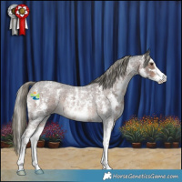 Horse Color:Liver Red Roan Mushroom Sabino 