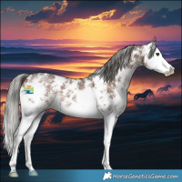 Horse Color:Liver Chestnut Mushroom Sabino Splash 