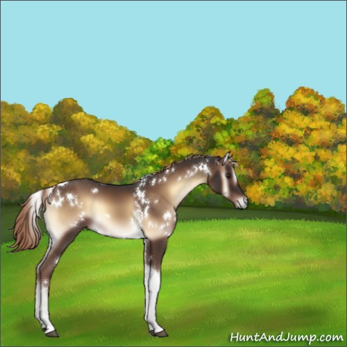 Horse Color:White Spotted Liver Red Onyx Tobiano 