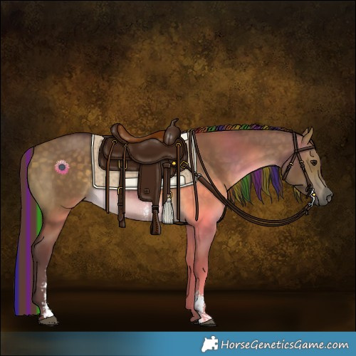 Horse Color:Painted Chocolate Buckskin Dun Sabino 