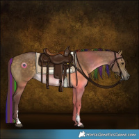 Horse Color:Painted Chocolate Buckskin Dun Sabino 