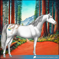 Horse Color:Liver Red Dun Mushroom Appaloosa 