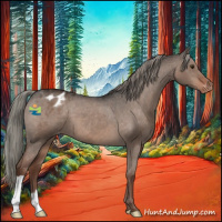 Horse Color:Liver Red Dun Mushroom Appaloosa 