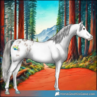 Horse Color:Liver Red Dun Mushroom Sabino Appaloosa 