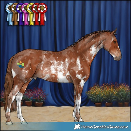 Horse Color:Chestnut Sabino Rabicano 