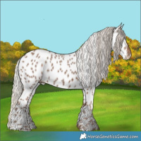 Horse Color:Silver Black Leopard 