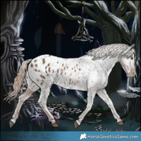 Horse Color:Liver Red Dun Appaloosa 