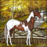 Horse Color:Silver Brown Tobiano Snowcap 