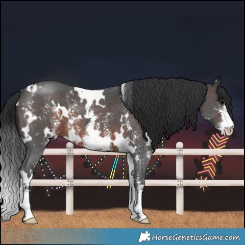 Horse Color:White Spotted Brown Sabino 
