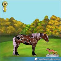 Horse Color:Painted White Spotted Silver Bay Ice