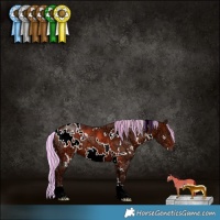 Horse Color:Painted White Spotted Silver Bay Ice 