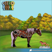 Horse Color:Painted White Spotted Silver Bay Ice 