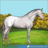 Horse Color:Liver Red Dun Snowcap 