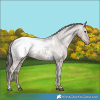 Horse Color:Liver Red Dun Snowcap 