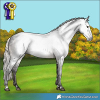 Horse Color:Gray White Spotted Silver Smoky Black 